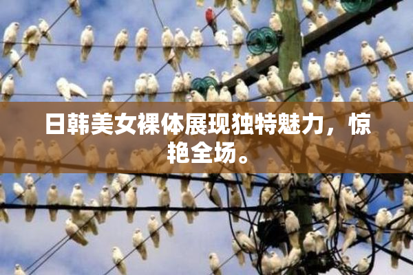 日韩美女裸体展现独特魅力，惊艳全场。