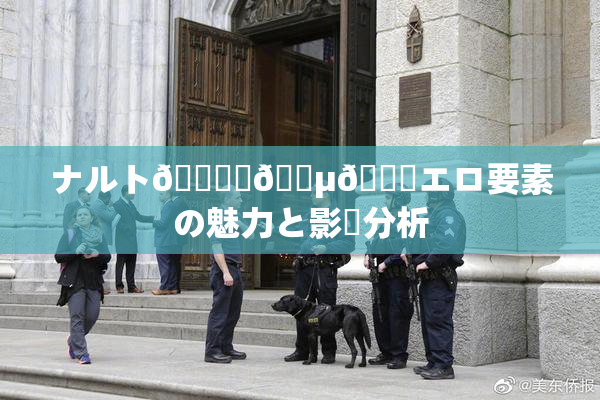 ナルト🎆✿🈵🌃エロ要素の魅力と影響分析