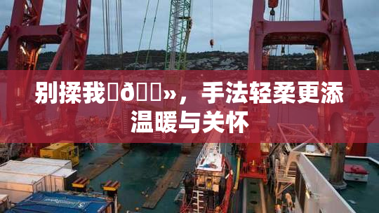 别揉我‌🐻，手法轻柔更添温暖与关怀