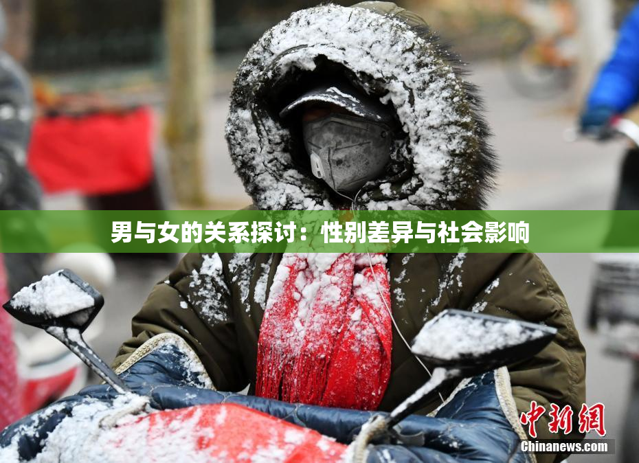 男与女的关系探讨：性别差异与社会影响