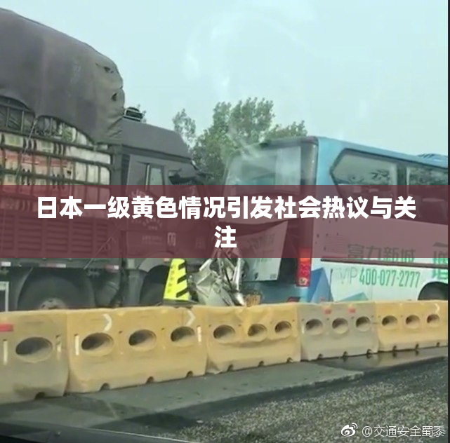 日本一级黄色情况引发社会热议与关注