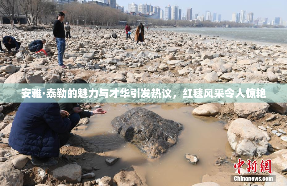 安雅·泰勒的魅力与才华引发热议，红毯风采令人惊艳