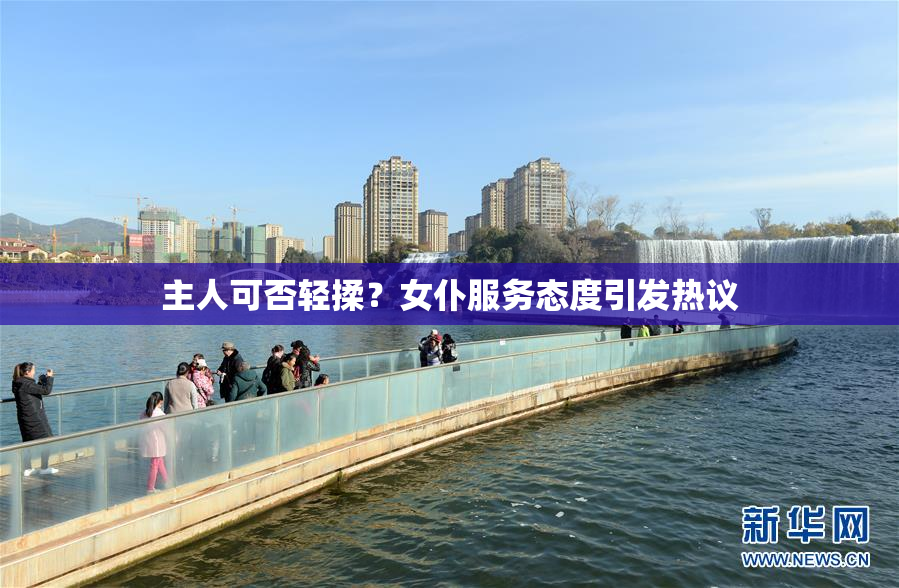 主人可否轻揉？女仆服务态度引发热议