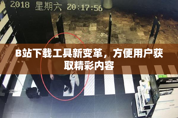B站下载工具新变革，方便用户获取精彩内容