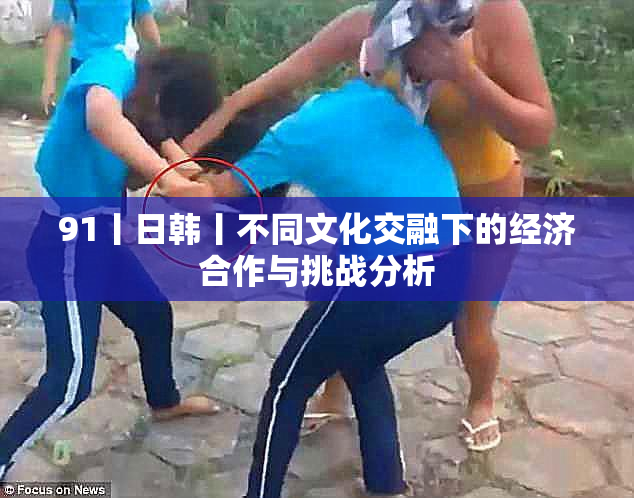 91丨日韩丨不同文化交融下的经济合作与挑战分析