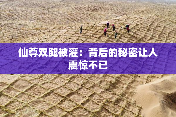 仙尊双腿被灌：背后的秘密让人震惊不已