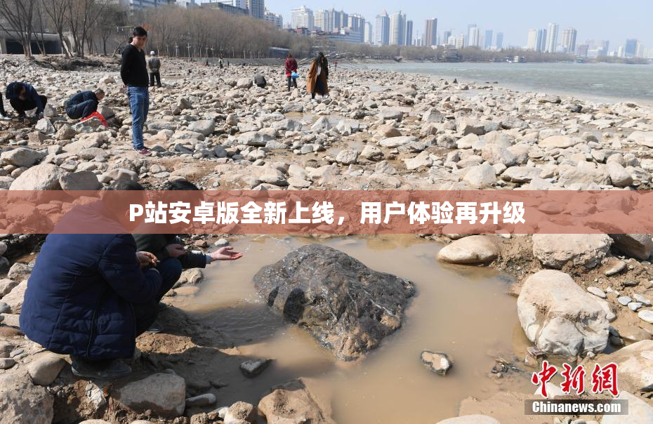 P站安卓版全新上线，用户体验再升级