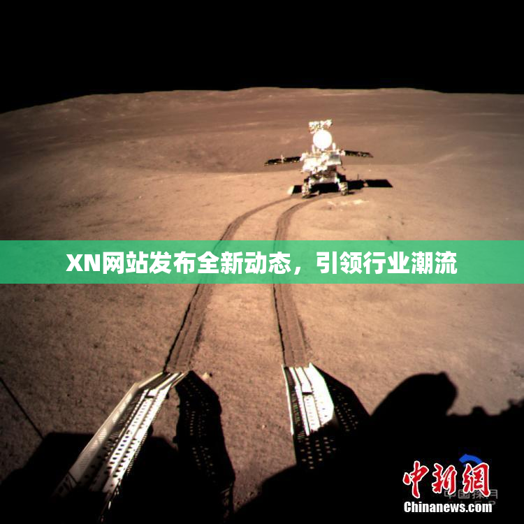 XN网站发布全新动态，引领行业潮流