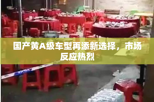 国产黄A级车型再添新选择，市场反应热烈