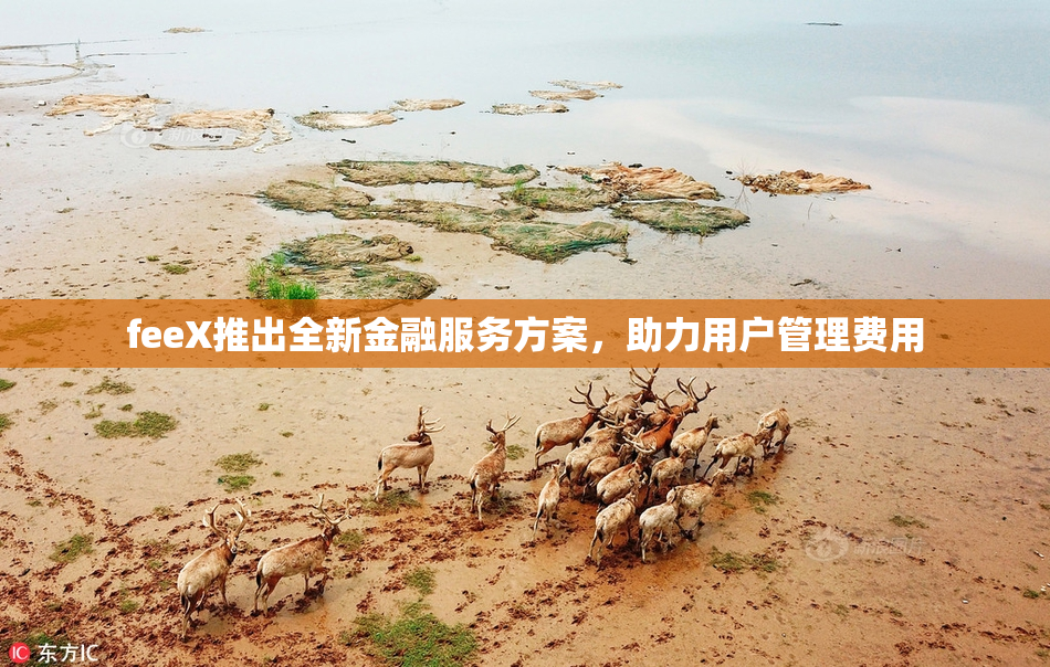 feeX推出全新金融服务方案，助力用户管理费用