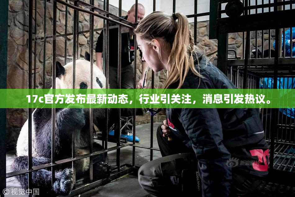 17c官方发布最新动态，行业引关注，消息引发热议。