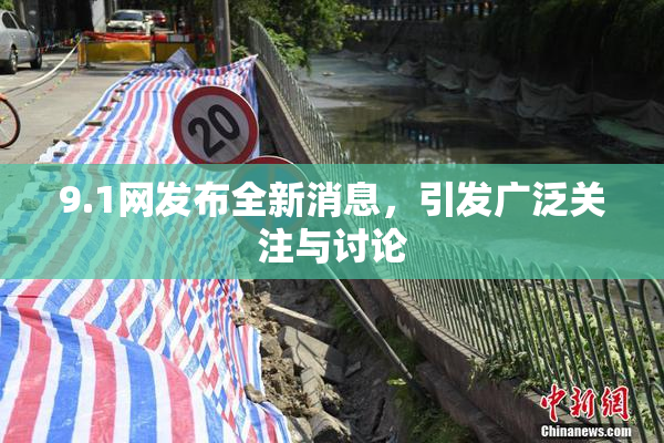 9.1网发布全新消息，引发广泛关注与讨论