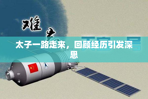 太子一路走来，回顾经历引发深思