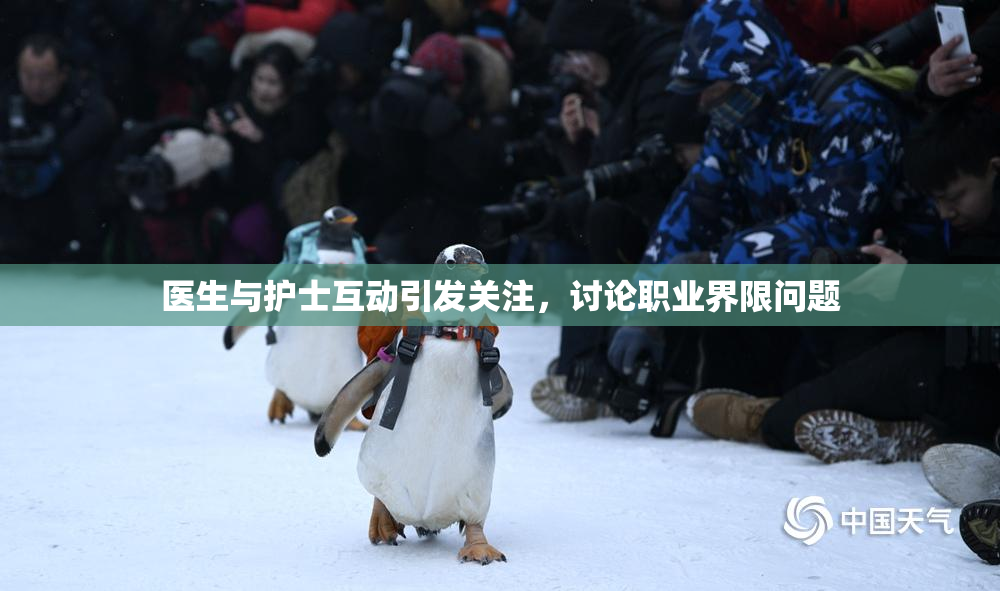 医生与护士互动引发关注，讨论职业界限问题