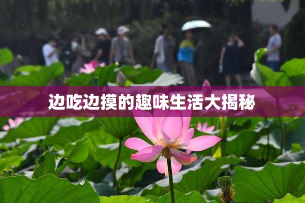 边吃边摸的趣味生活大揭秘
