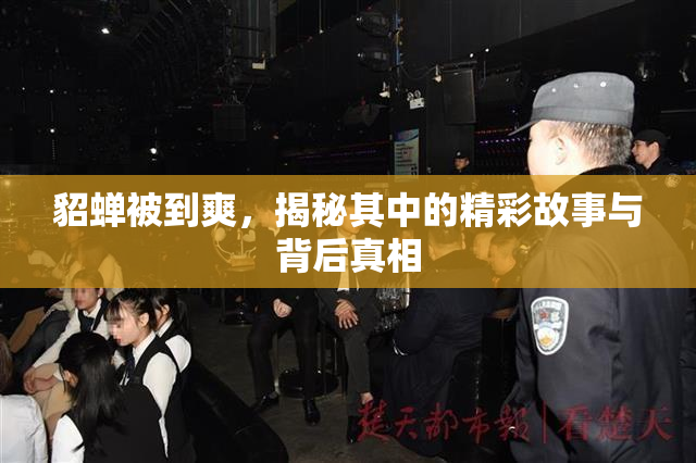 貂蝉被到爽，揭秘其中的精彩故事与背后真相