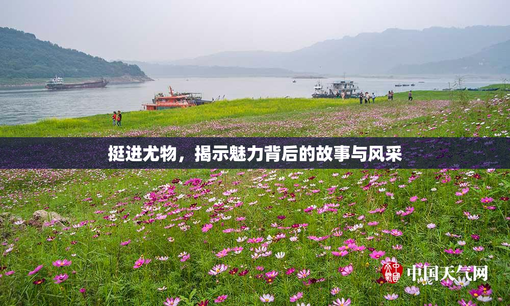 挺进尤物，揭示魅力背后的故事与风采