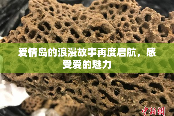 爱情岛的浪漫故事再度启航，感受爱的魅力