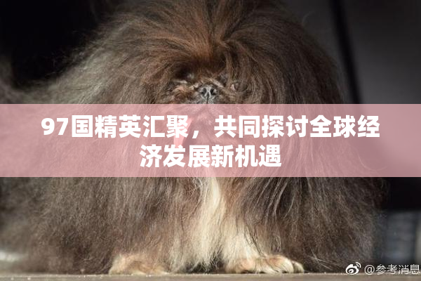 97国精英汇聚，共同探讨全球经济发展新机遇