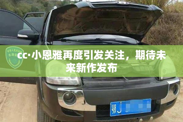 cc·小恩雅再度引发关注，期待未来新作发布