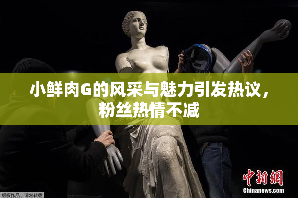 小鲜肉G的风采与魅力引发热议，粉丝热情不减