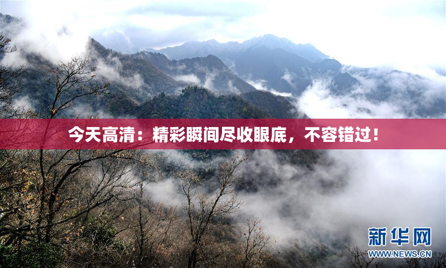 今天高清：精彩瞬间尽收眼底，不容错过！