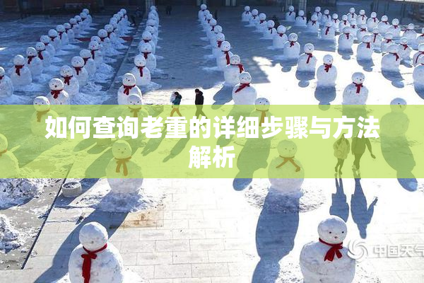 如何查询老重的详细步骤与方法解析