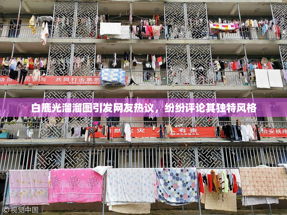 白鹿光溜溜图引发网友热议，纷纷评论其独特风格