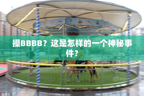 搡BBBB？这是怎样的一个神秘事件？