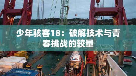 少年骇客18：破解技术与青春挑战的较量
