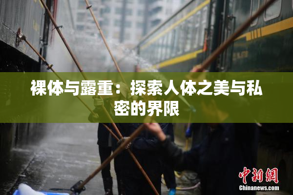 裸体与露重：探索人体之美与私密的界限