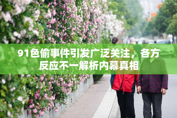91色偷事件引发广泛关注，各方反应不一解析内幕真相