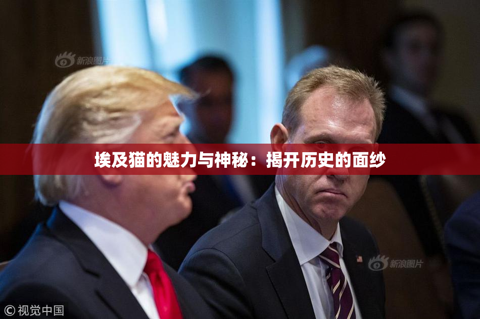 埃及猫的魅力与神秘：揭开历史的面纱