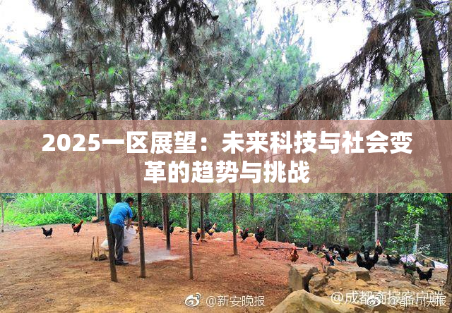 2025一区展望：未来科技与社会变革的趋势与挑战