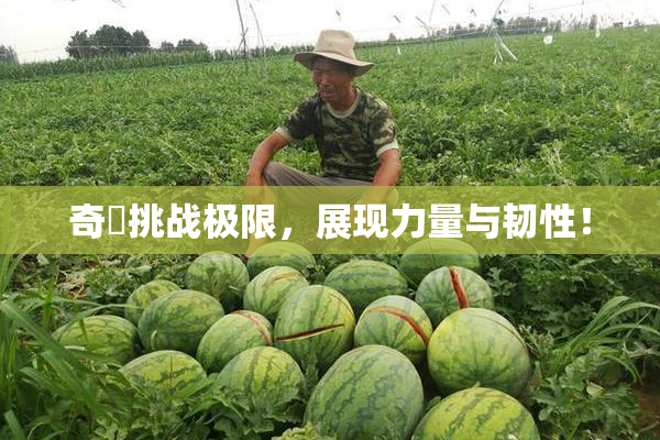 奇犽挑战极限，展现力量与韧性！