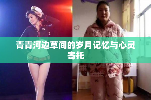 青青河边草间的岁月记忆与心灵寄托