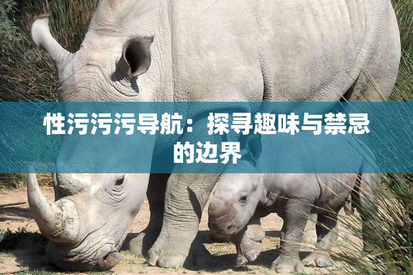 性污污污导航：探寻趣味与禁忌的边界