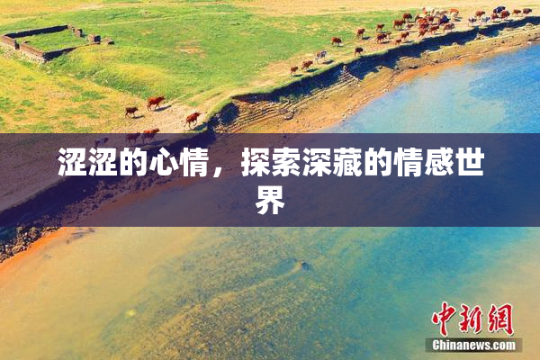 涩涩的心情，探索深藏的情感世界