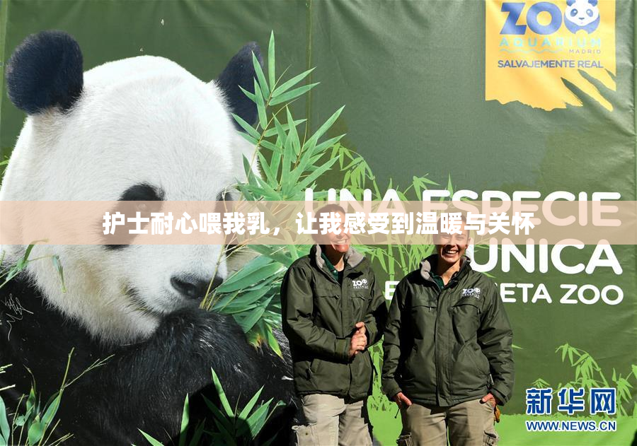 护士耐心喂我乳，让我感受到温暖与关怀