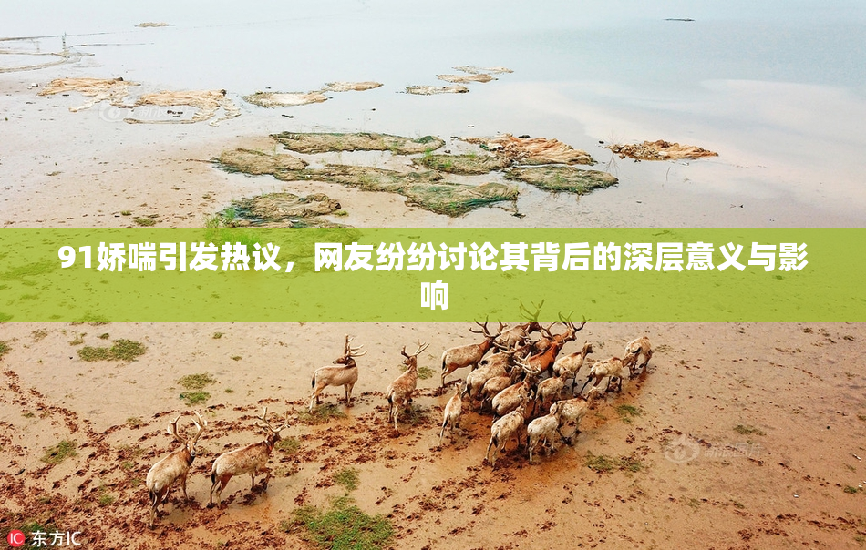 91娇喘引发热议，网友纷纷讨论其背后的深层意义与影响