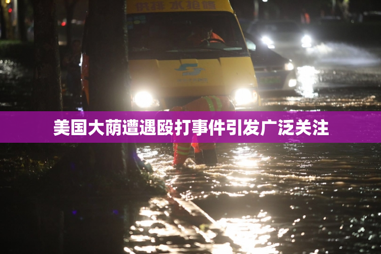 美国大荫遭遇殴打事件引发广泛关注