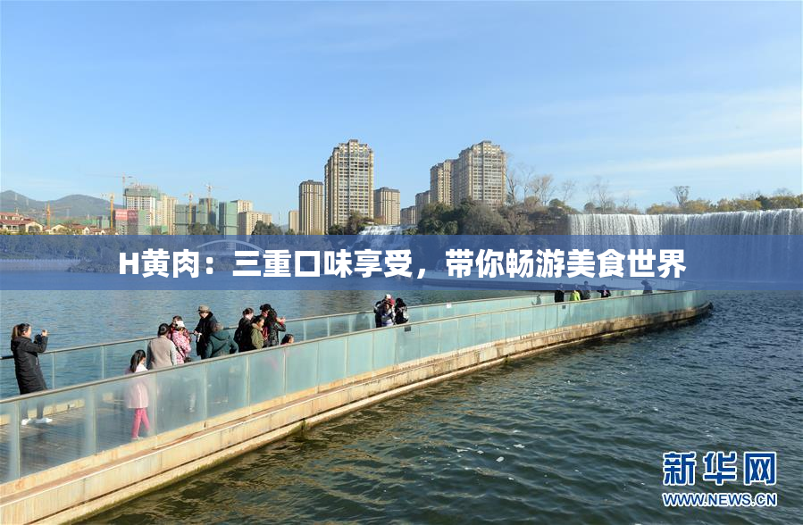 H黄肉：三重口味享受，带你畅游美食世界