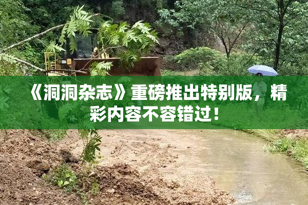 《洞洞杂志》重磅推出特别版，精彩内容不容错过！