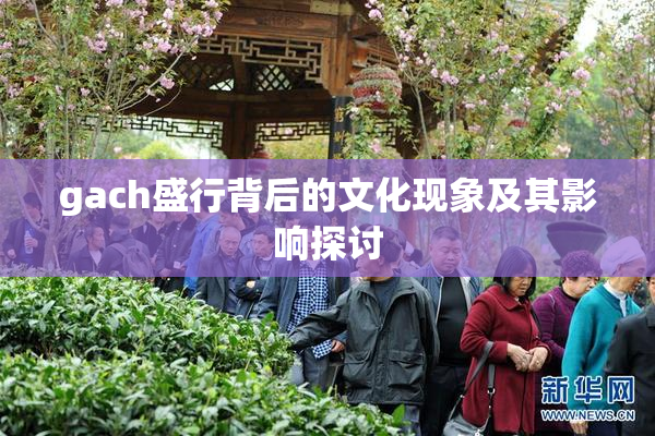 gach盛行背后的文化现象及其影响探讨
