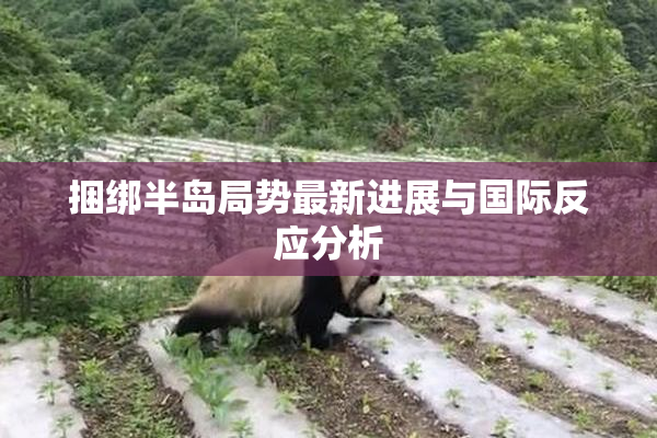捆绑半岛局势最新进展与国际反应分析
