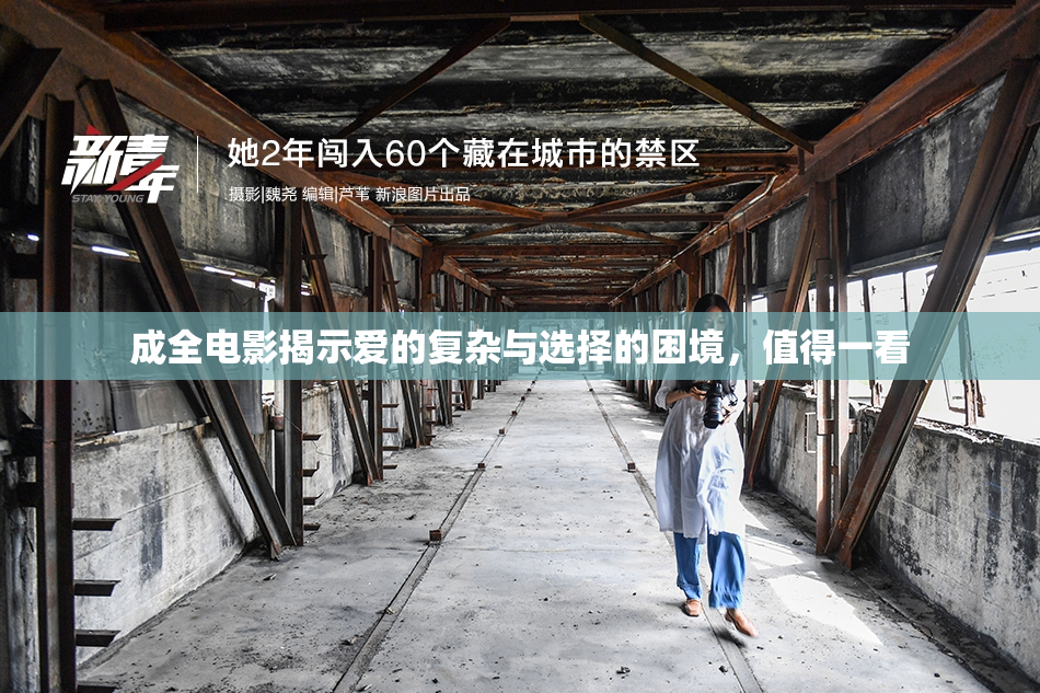 成全电影揭示爱的复杂与选择的困境，值得一看