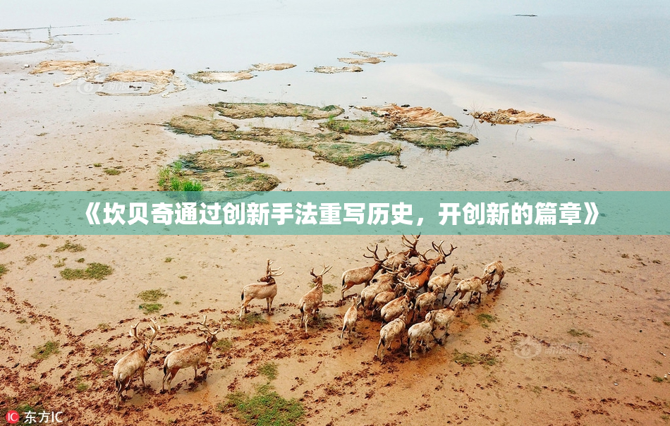 《坎贝奇通过创新手法重写历史，开创新的篇章》