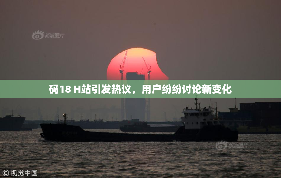 码18 H站引发热议，用户纷纷讨论新变化