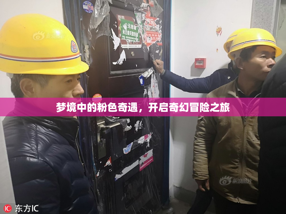 梦境中的粉色奇遇，开启奇幻冒险之旅