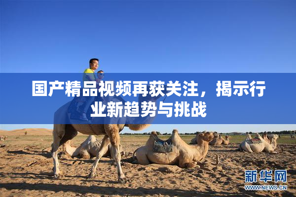 国产精品视频再获关注，揭示行业新趋势与挑战
